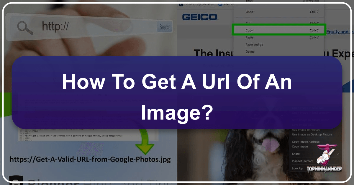 /images/how-to-get-a-url-of-an-image.png