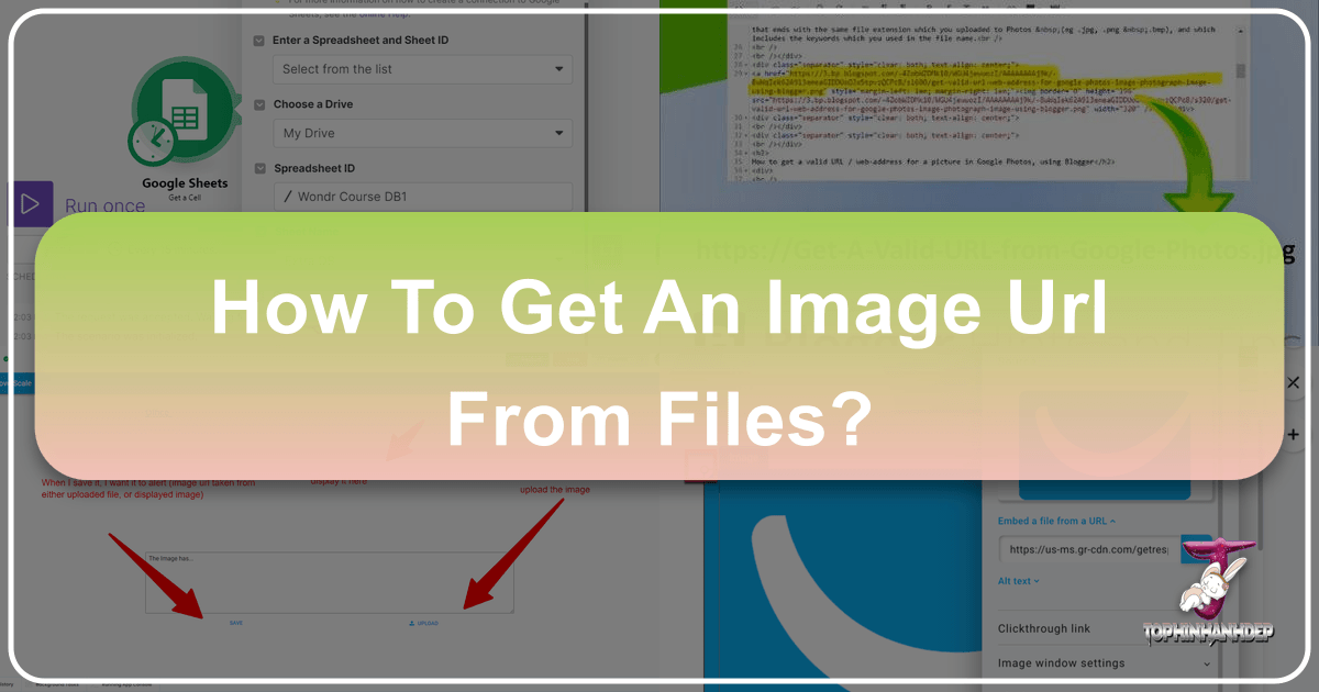 /images/how-to-get-an-image-url-from-files.png