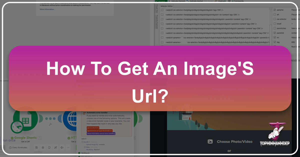 /images/how-to-get-an-images-url.png /images/how-to-get-an-images-url.png