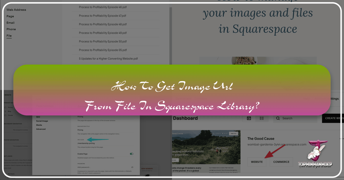 /images/how-to-get-image-url-from-file-in-squarespace-library.png
