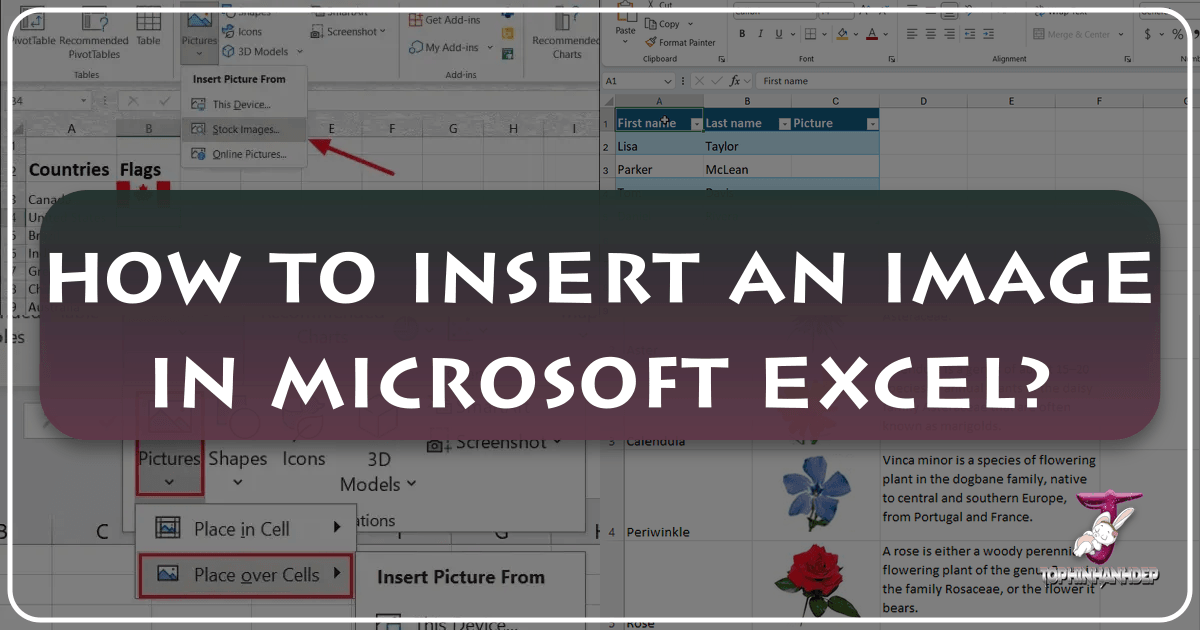 /images/how-to-insert-an-image-in-microsoft-excel.png /images/how-to-insert-an-image-in-microsoft-excel.png