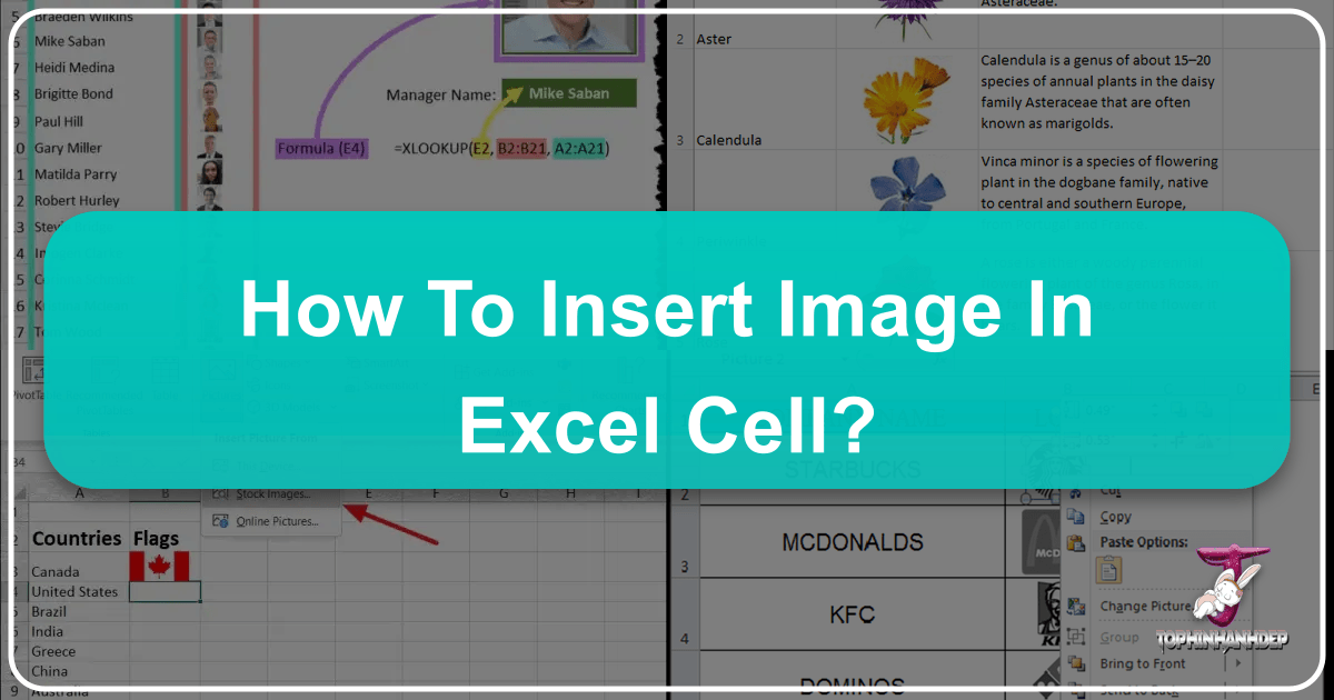 /images/how-to-insert-image-in-excel-cell.png /images/how-to-insert-image-in-excel-cell.png