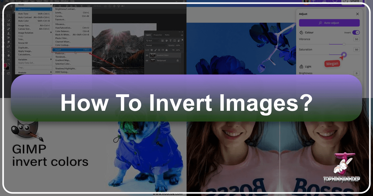/images/how-to-invert-images.png