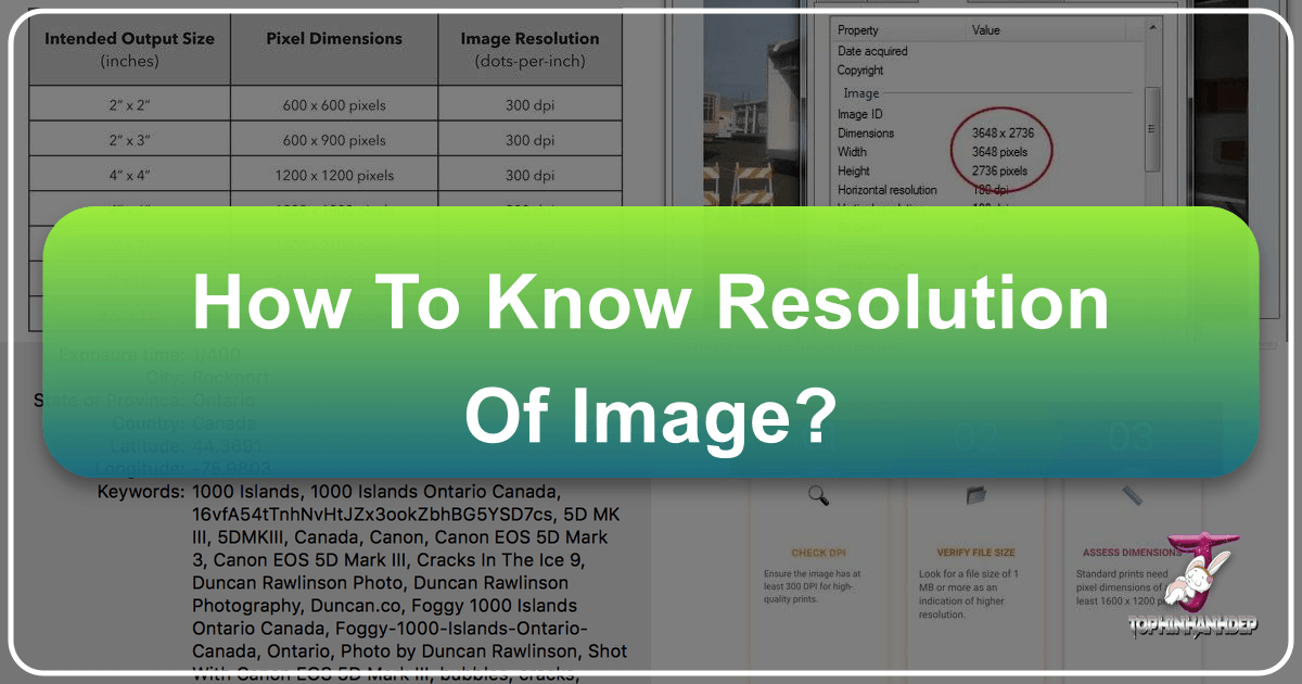 /images/how-to-know-resolution-of-image.png /images/how-to-know-resolution-of-image.png
