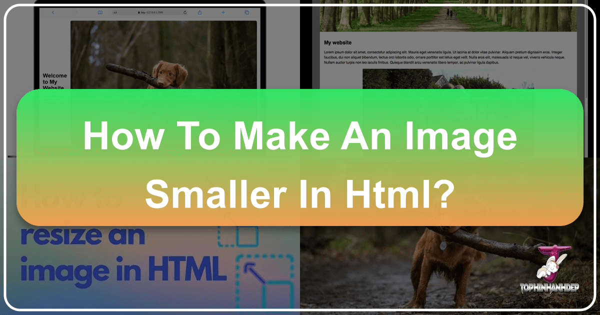 /images/how-to-make-an-image-smaller-in-html.png