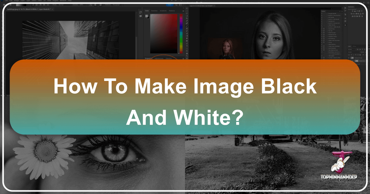 Transforming images into stunning black and white masterpieces with various tools and techniques. /images/how-to-make-image-black-and-white.png
