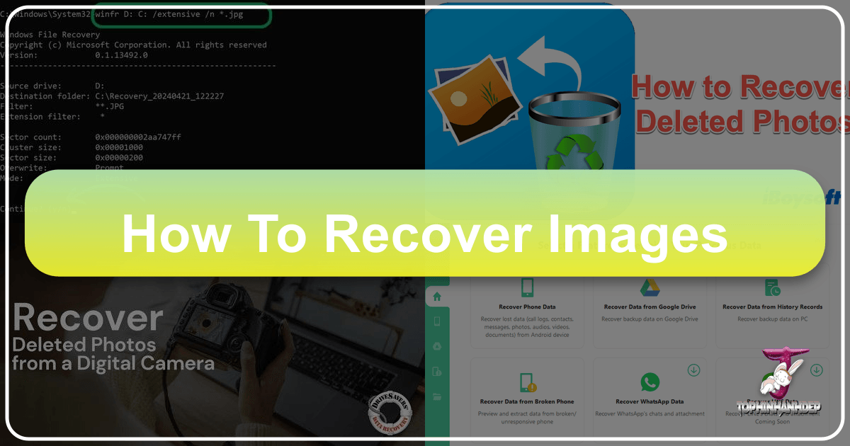 /images/how-to-recover-images.png