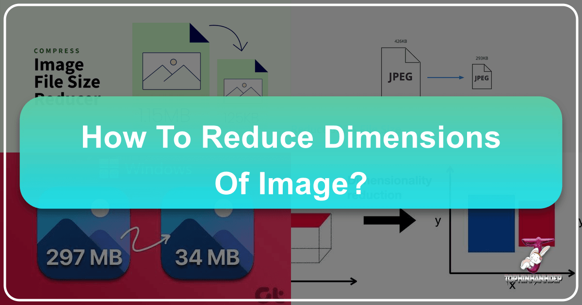 /images/how-to-reduce-dimensions-of-image.png