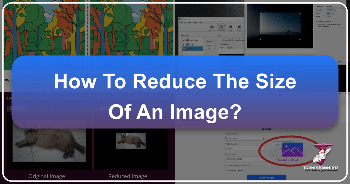 /images/how-to-reduce-the-size-of-an-image.png