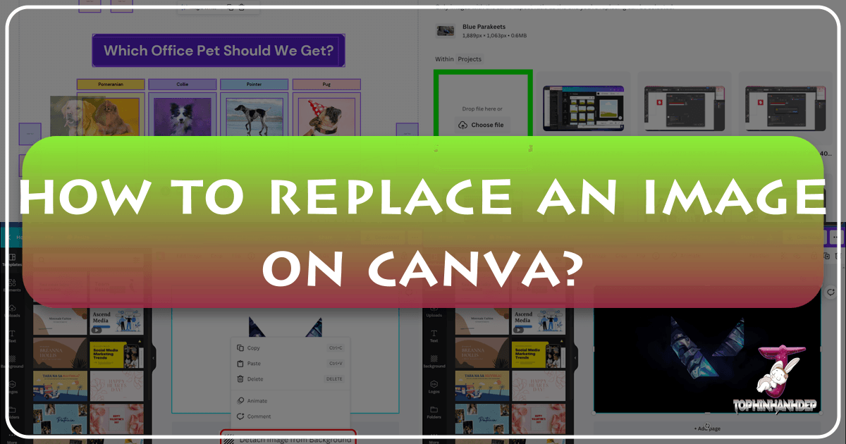 /images/how-to-replace-an-image-on-canva.png /images/how-to-replace-an-image-on-canva.png