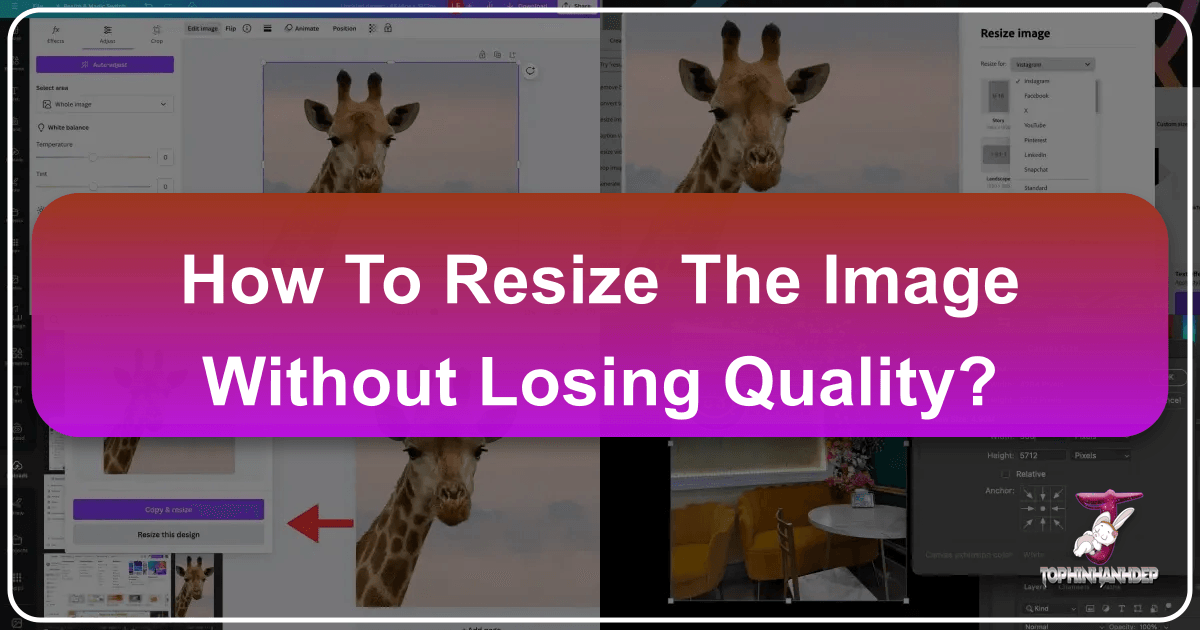 /images/how-to-resize-the-image-without-losing-quality.png