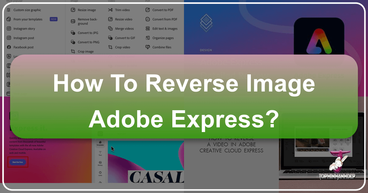 /images/how-to-reverse-image-adobe-express.png