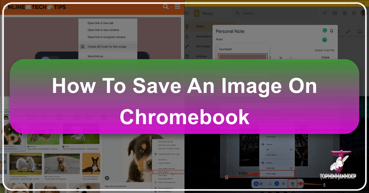 /images/how-to-save-an-image-on-chromebook.png /images/how-to-save-an-image-on-chromebook.png