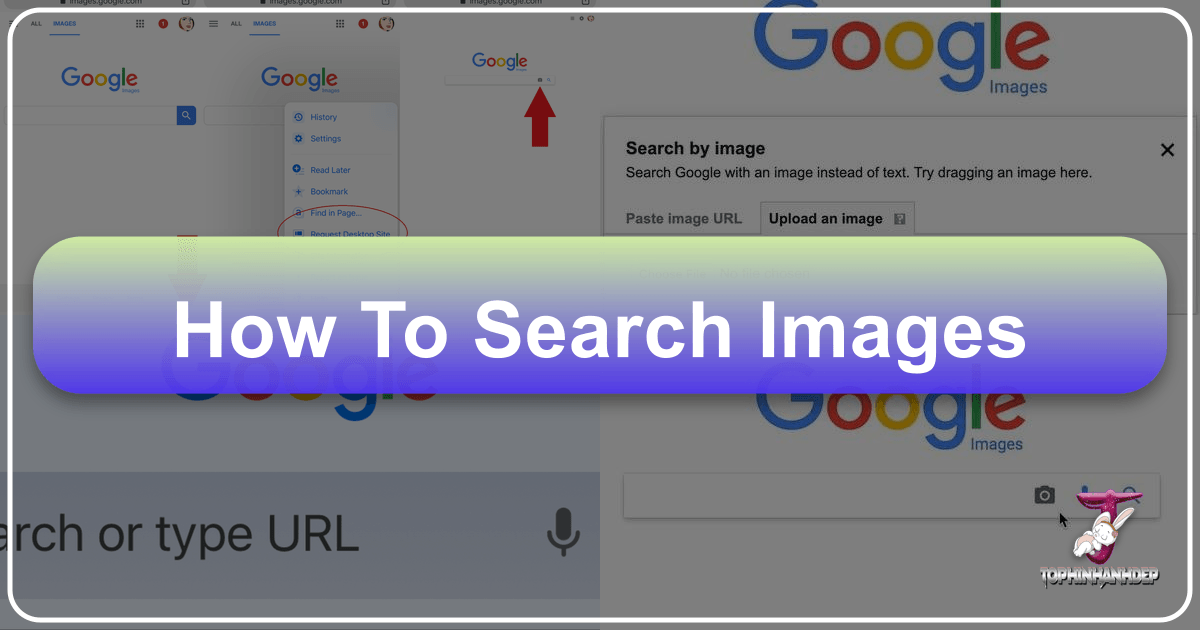 /images/how-to-search-images.png