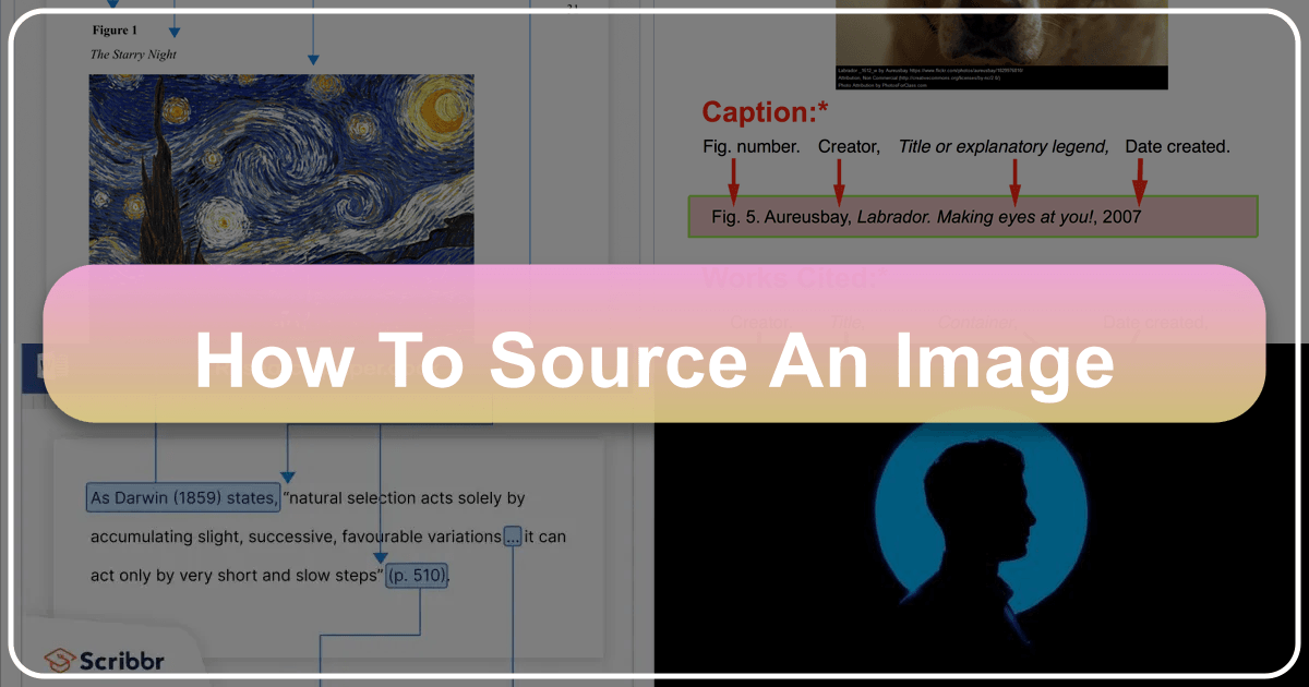 Source images effectively with proper attribution and citation for impactful projects. /images/how-to-source-an-image.png