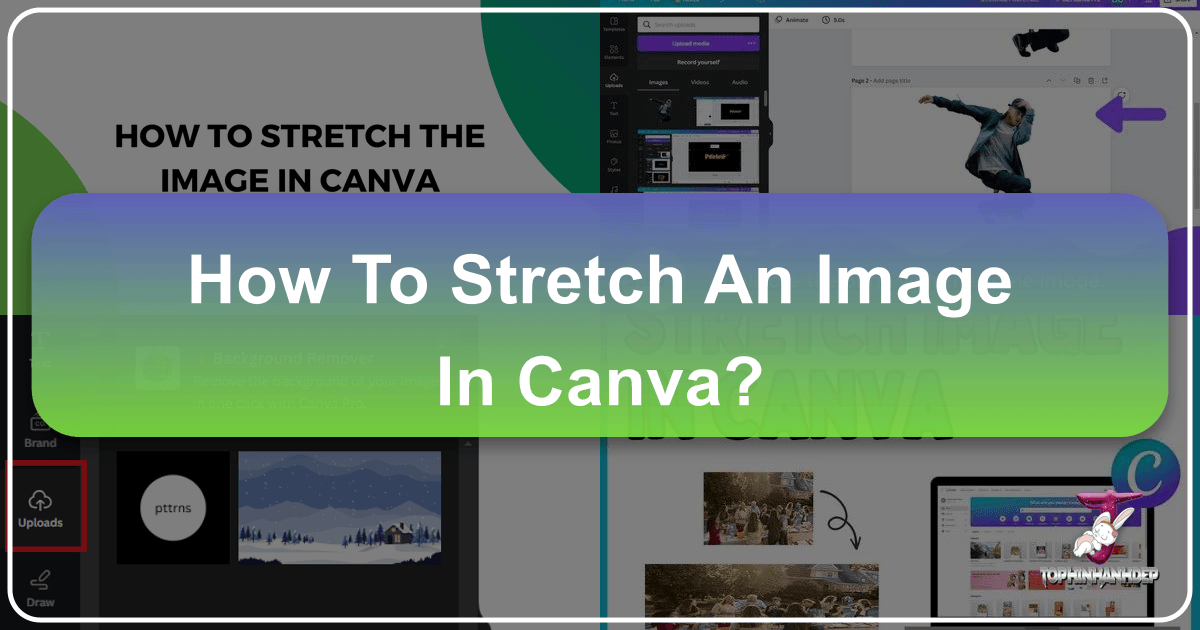 /images/how-to-stretch-an-image-in-canva.png