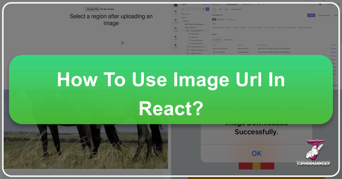/images/how-to-use-image-url-in-react.png