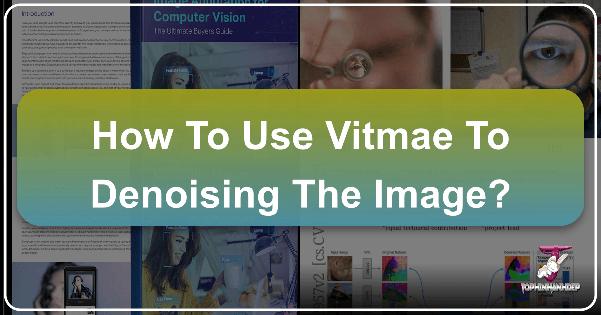 /images/how-to-use-vitmae-to-denoising-the-image.png