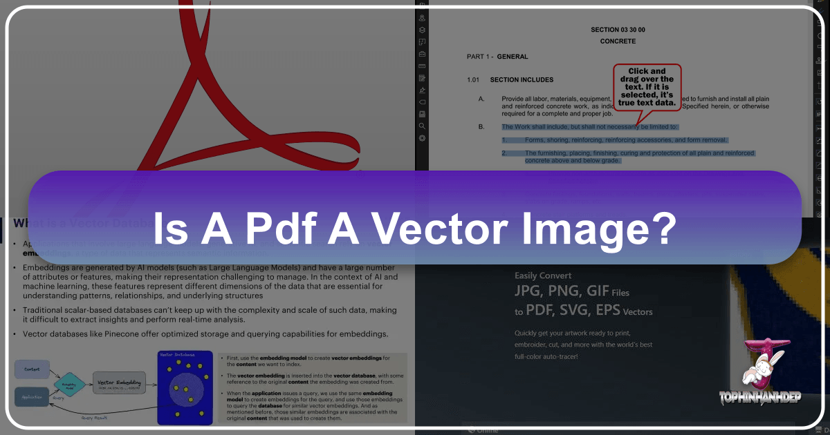 /images/is-a-pdf-a-vector-image.png /images/is-a-pdf-a-vector-image.png