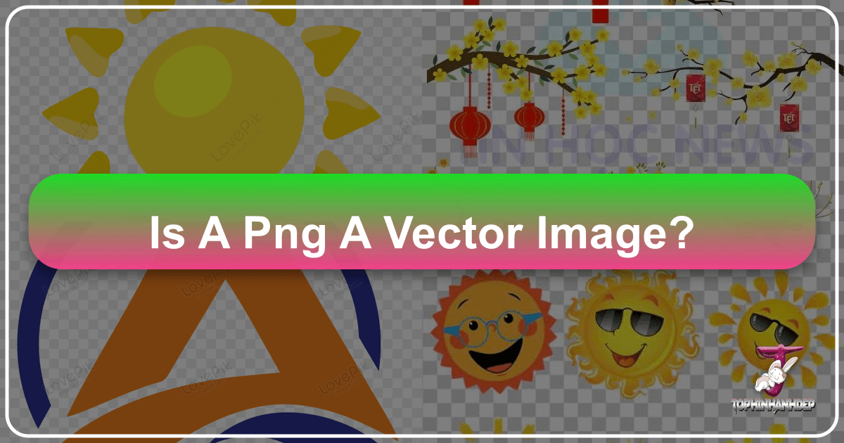 Understanding raster and vector images, their differences, and applications in digital visuals and design. /images/is-a-png-a-vector-image.png