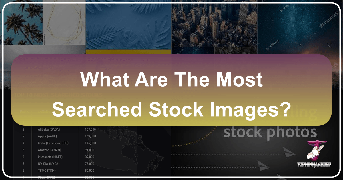 /images/what-are-the-most-searched-stock-images.png