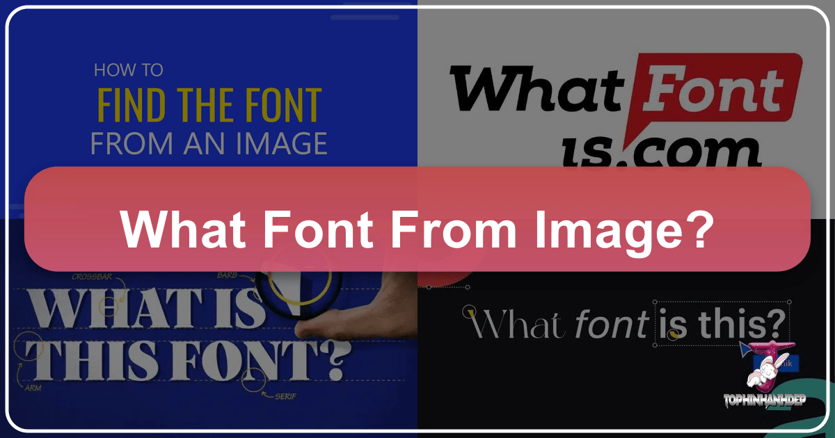 /images/what-font-from-image.png