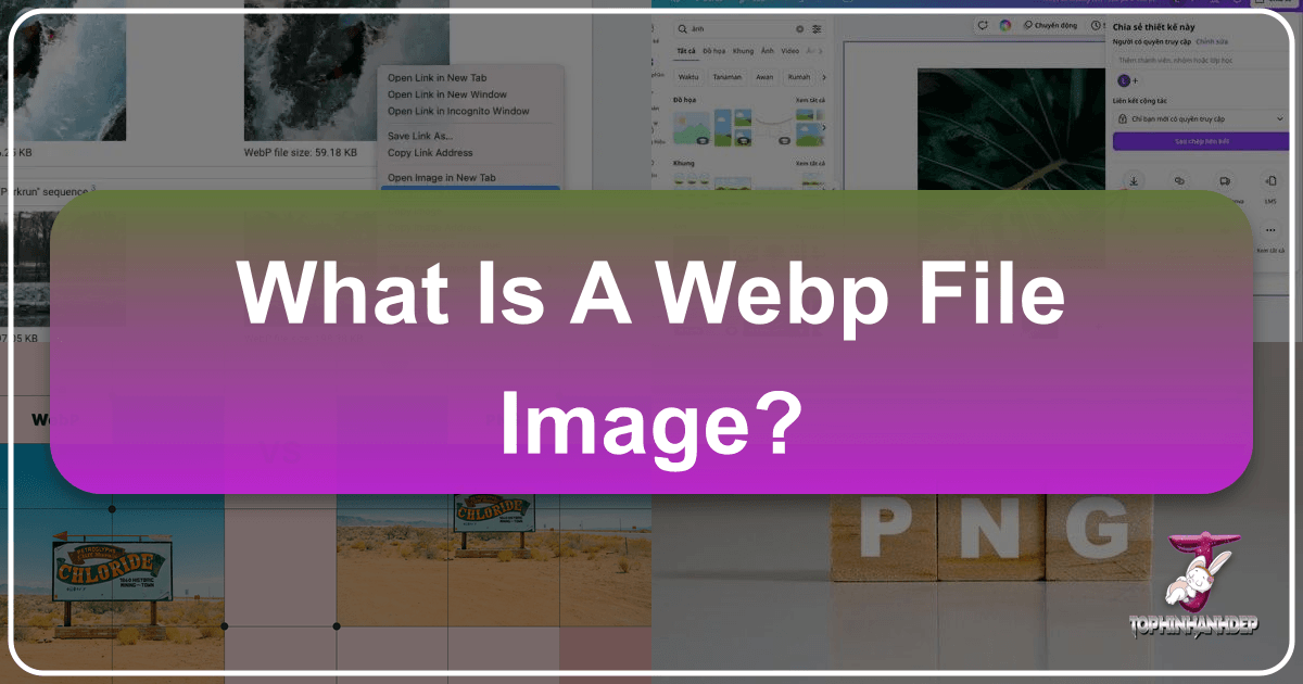 /images/what-is-a-webp-file-image.png