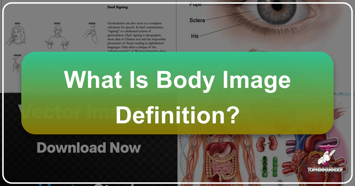 /images/what-is-body-image-definition.png