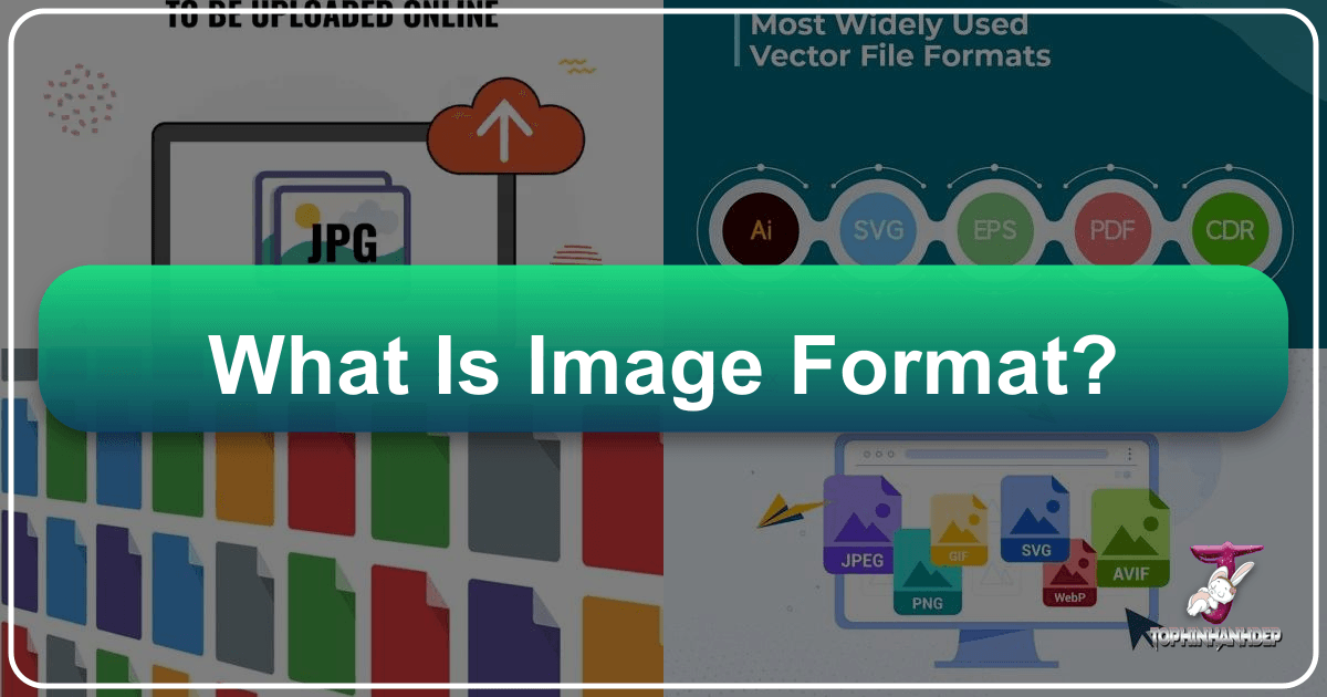 /images/what-is-image-format.png /images/what-is-image-format.png