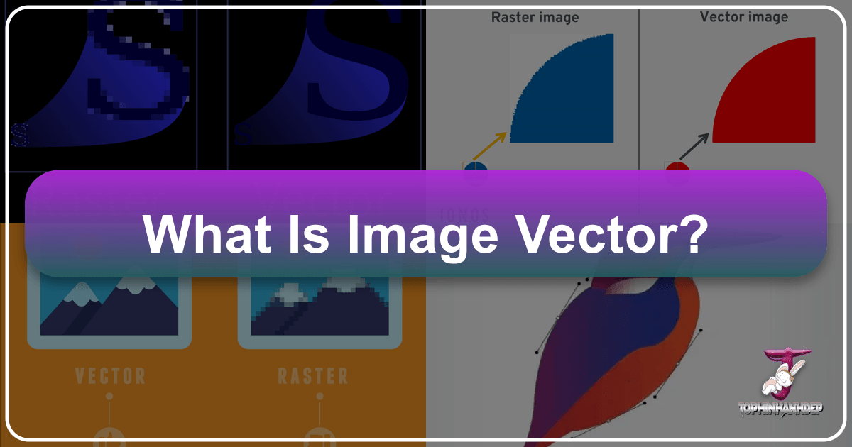 Understanding vector graphics and their applications in visual design and digital art. /images/what-is-image-vector.png