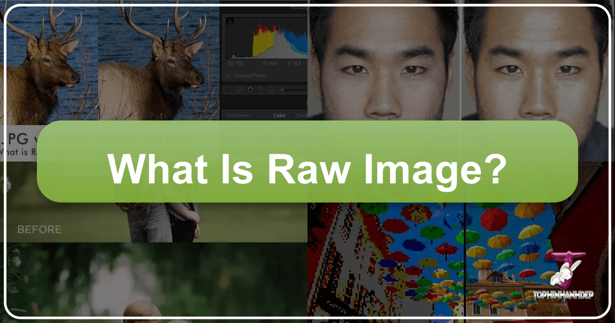 Comprehensive guide to RAW images for digital photographers, enhancing quality and creative control. /images/what-is-raw-image.png
