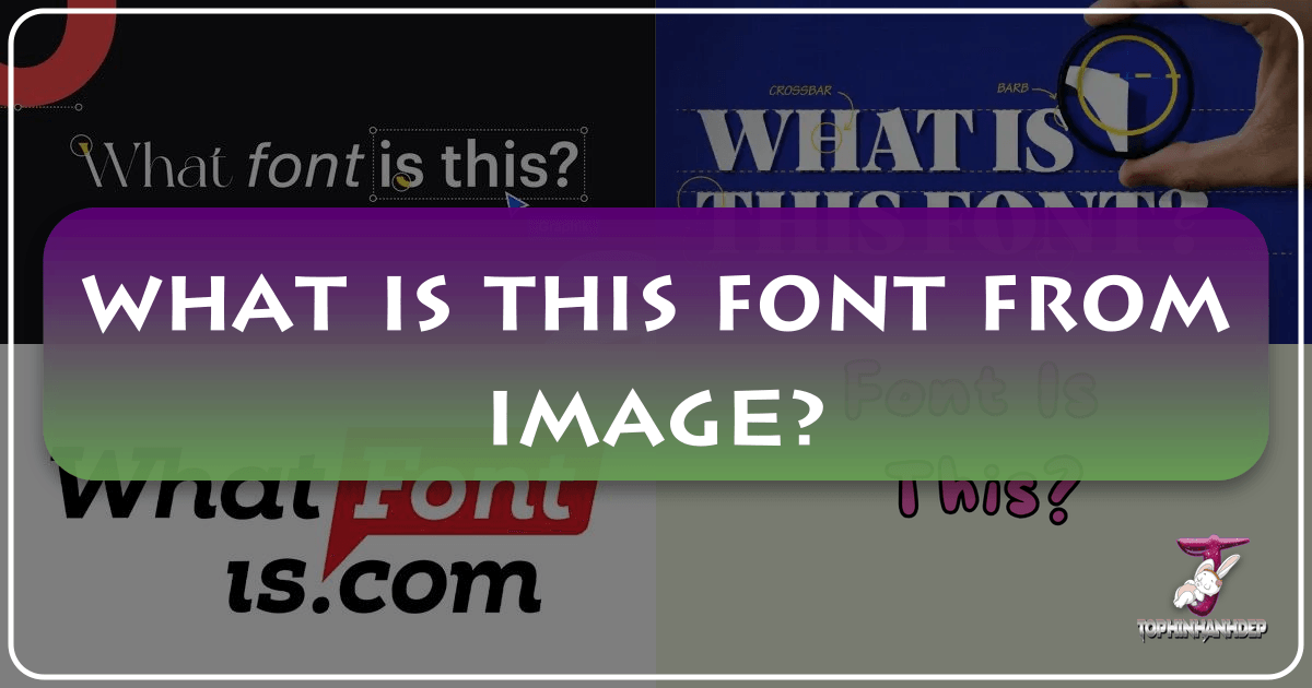 /images/what-is-this-font-from-image.png