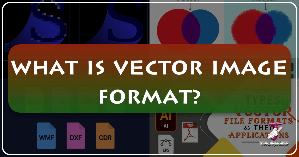 /images/what-is-vector-image-format.png