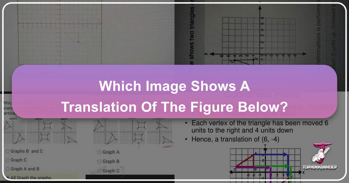 Understanding translation in visual media and design with Tophinhanhdep.com. /images/which-image-shows-a-translation-of-the-figure-below.png
