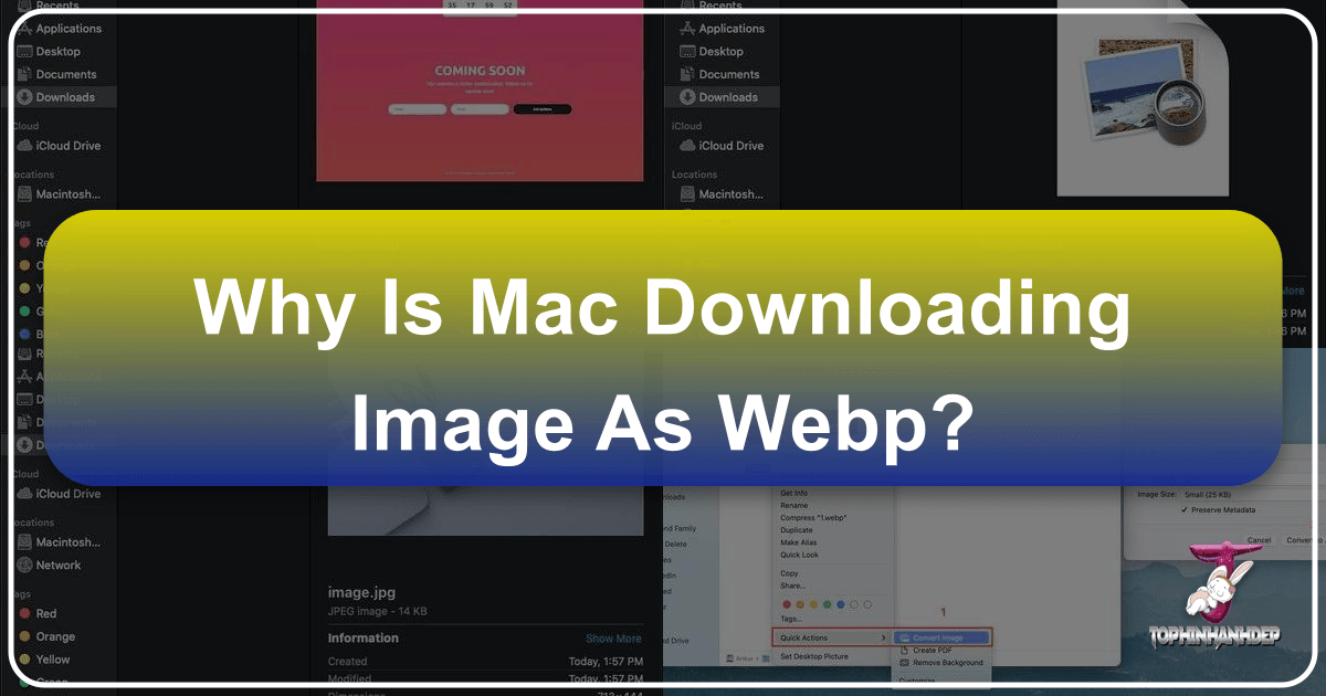/images/why-is-mac-downloading-image-as-webp.png