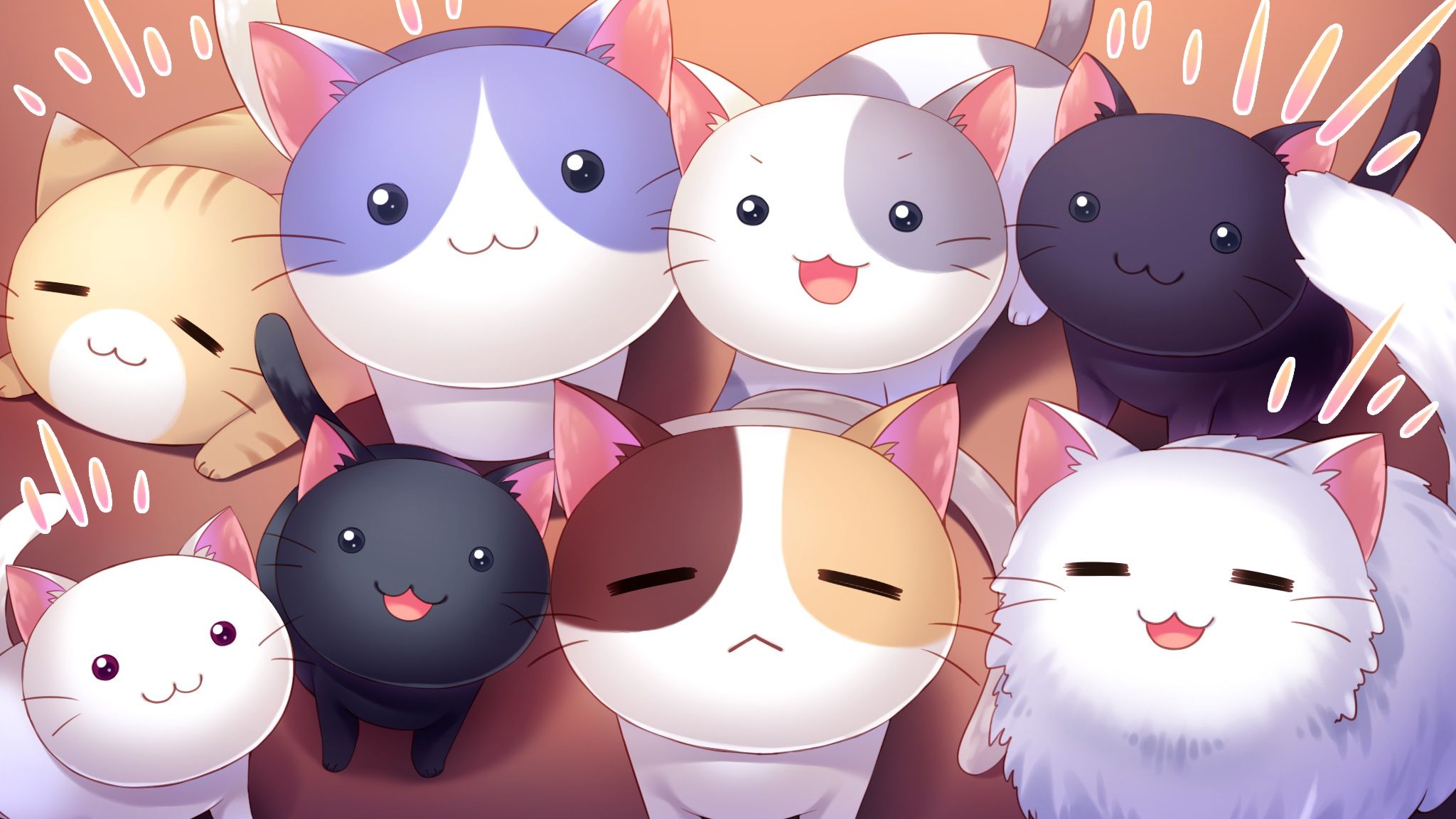Kawaii Anime Cat Wallpapers - Top Những Hình Ảnh Đẹp