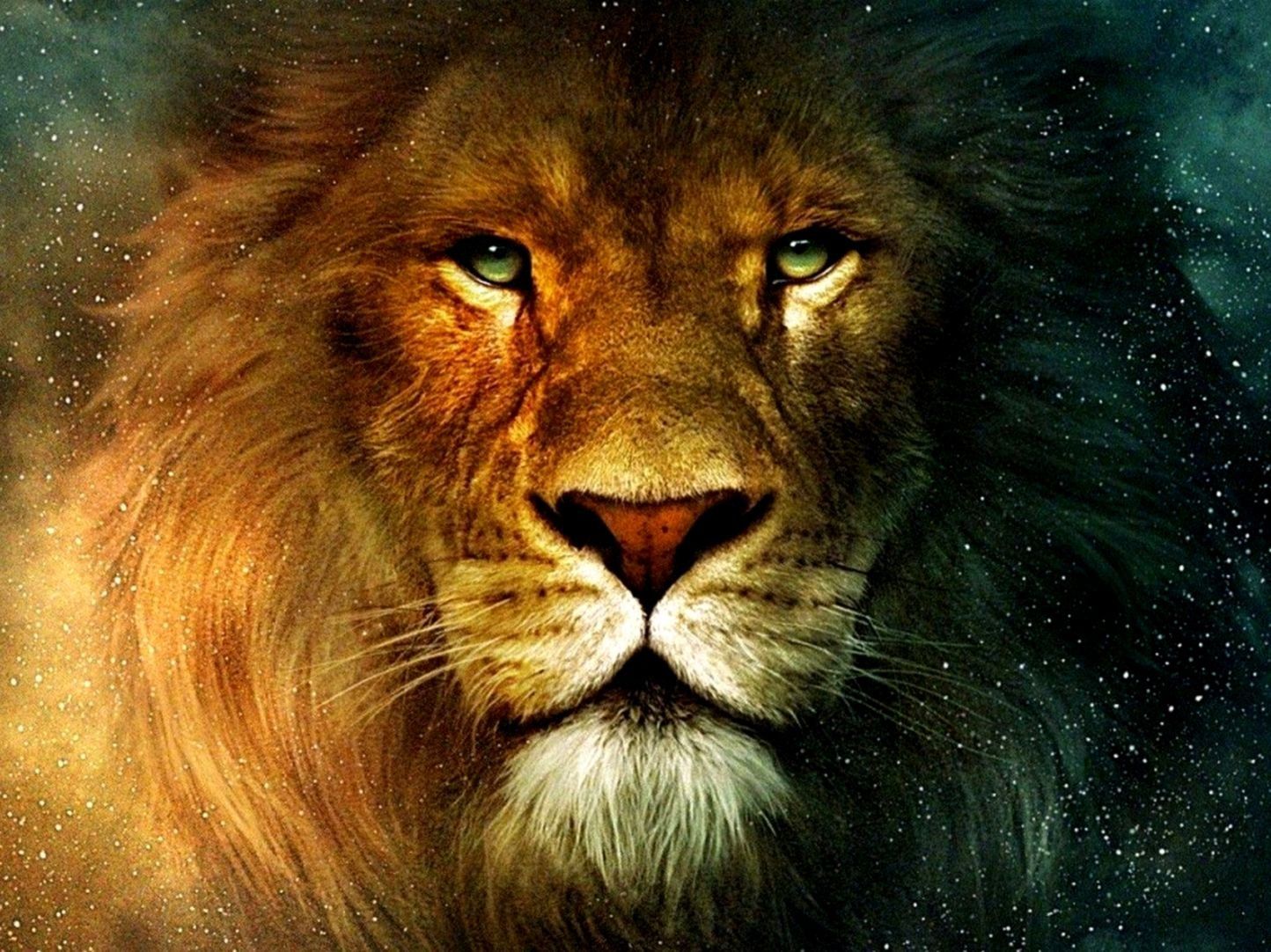 3D Lion Wallpapers - Top Những Hình Ảnh Đẹp