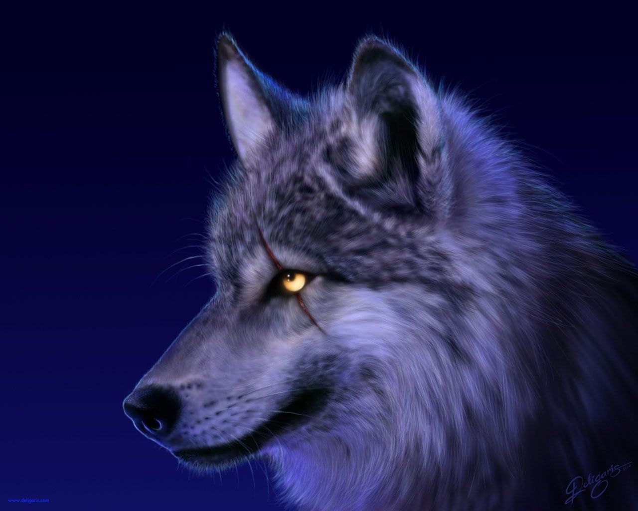 Wolf Wallpapers - Top Những Hình Ảnh Đẹp