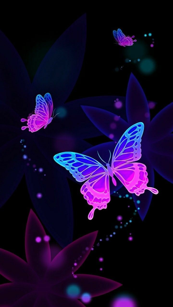 Cute Butterflies Wallpapers - Top Những Hình Ảnh Đẹp
