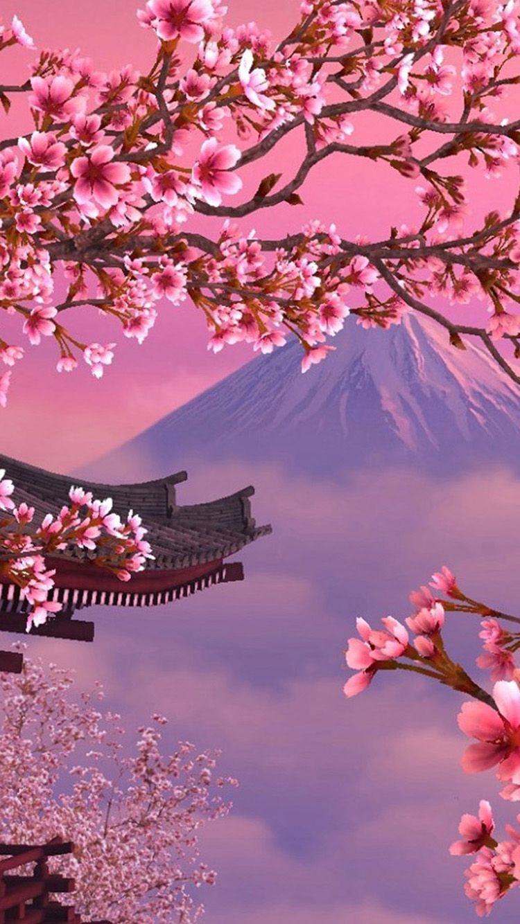Japanese Cherry Blossom iPhone Wallpapers - Top Những Hình Ảnh Đẹp